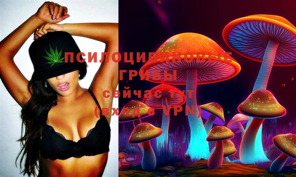 кокаин колумбия Богданович