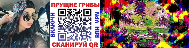 нарко площадка телеграм  Игра  Галлюциногенные грибы мицелий 